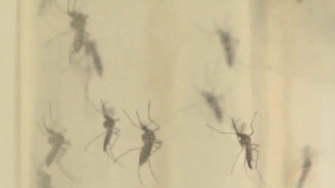 Sarasota fighting to stop the spread of malaria
